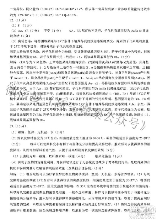 广西四市2022届高中毕业班4月教学质量检测试题文科综合试题及答案