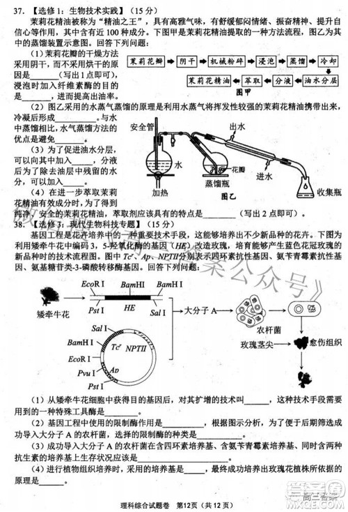 绵阳市高中2019级第三次诊断性考试理科综合试题及答案