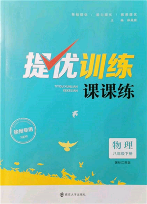 南京大学出版社2022提优训练课课练八年级下册物理江苏版徐州专版参考答案