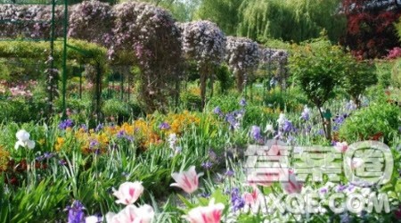 写春日风景的写景作文600字最新 关于写春日风景的写景作文600字最新