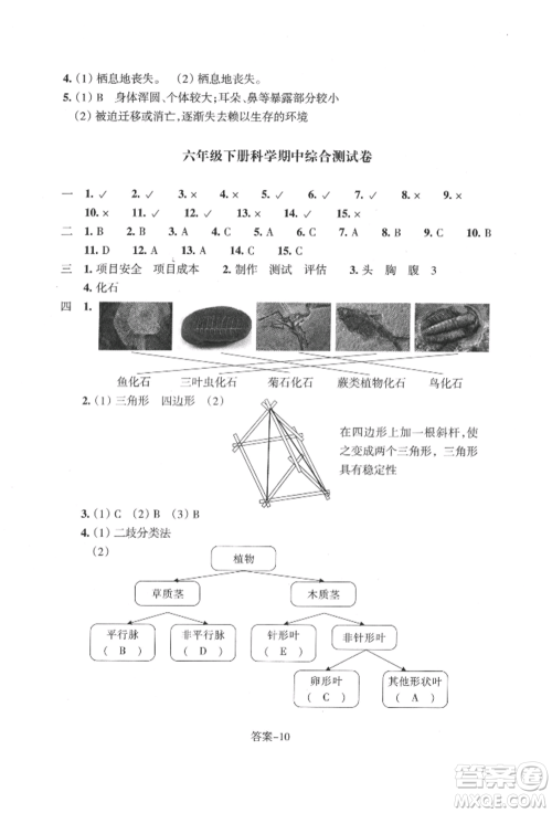浙江少年儿童出版社2022每课一练六年级下册科学教科版参考答案