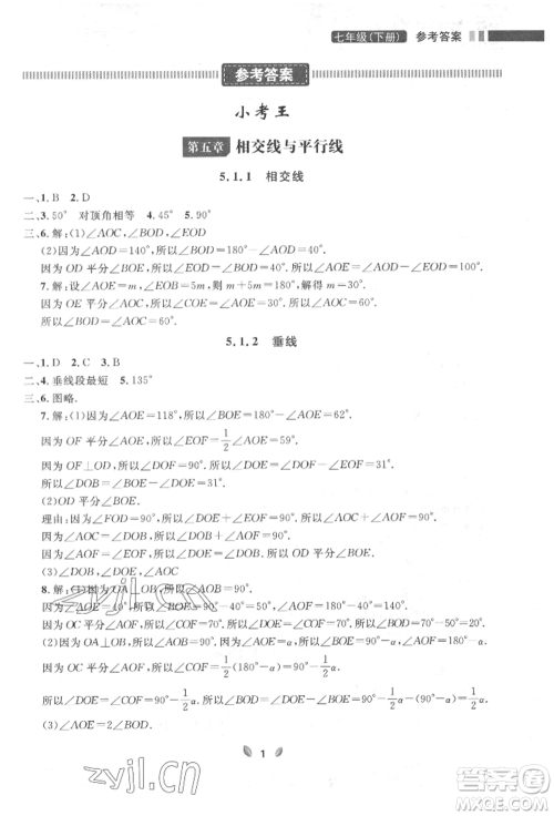 延边大学出版社2022点石成金金牌夺冠七年级下册数学人教版参考答案