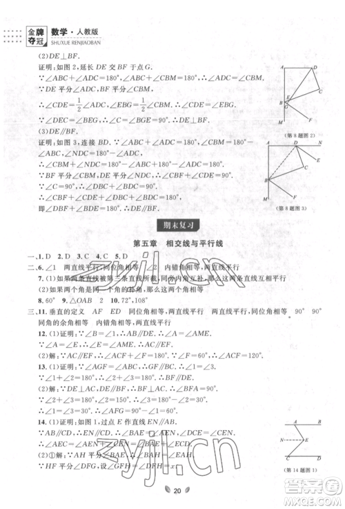 延边大学出版社2022点石成金金牌夺冠七年级下册数学人教版参考答案