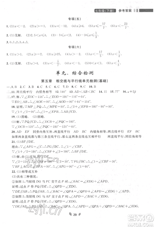 延边大学出版社2022点石成金金牌夺冠七年级下册数学人教版参考答案