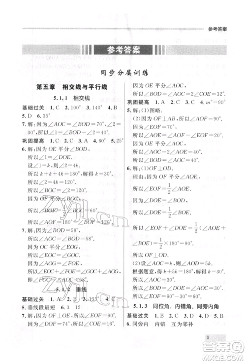 延边大学出版社2022点石成金金牌每课通七年级下册数学人教版参考答案