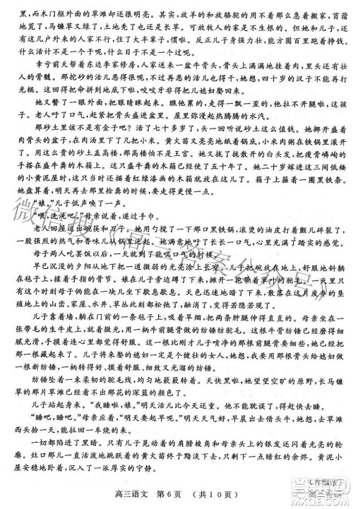 2022年河南省五市高三第二次联合调研检测语文试题及答案 2022年河南省五市高三第二次联合调研检测语文试题及答案