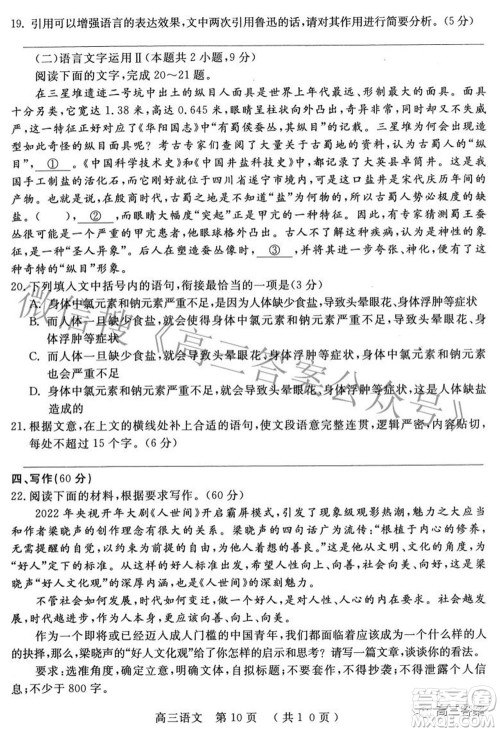 2022年河南省五市高三第二次联合调研检测语文试题及答案