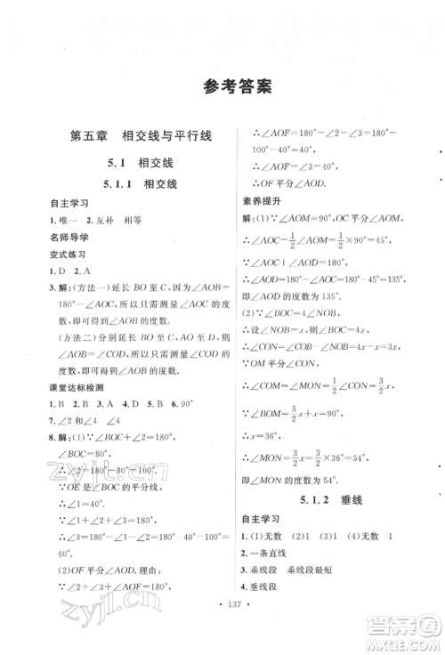 陕西人民出版社2022实验教材新学案七年级下册数学人教版参考答案