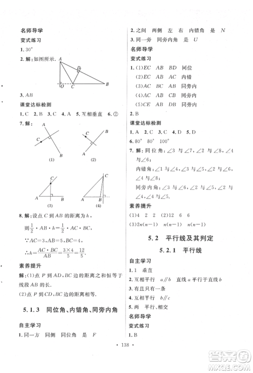 陕西人民出版社2022实验教材新学案七年级下册数学人教版参考答案