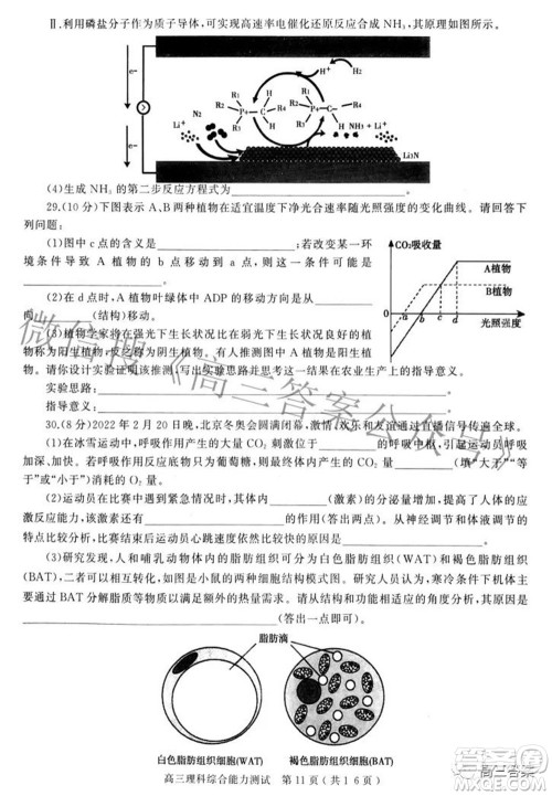 2022年河南省五市高三第二次联合调研检测理科综合试题及答案