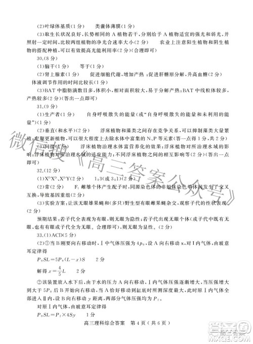 2022年河南省五市高三第二次联合调研检测理科综合试题及答案