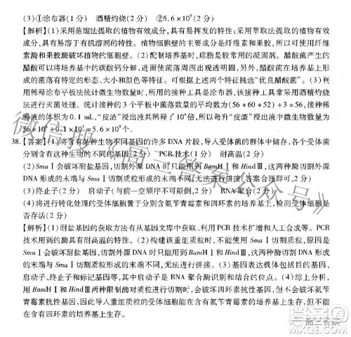 智慧上进2021-2022学年高三二轮复习验收考试理科综合答案