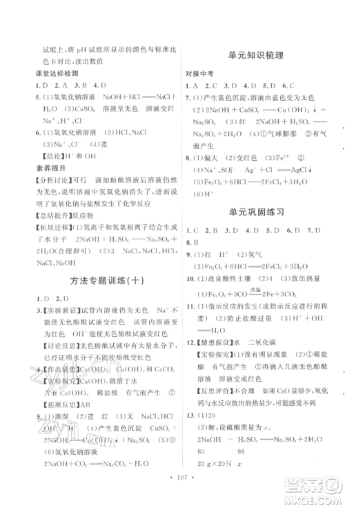 陕西人民出版社2022实验教材新学案九年级下册化学人教版参考答案 陕西人民出版社2022实验教材新学案九年级下册化学人教版参考答案