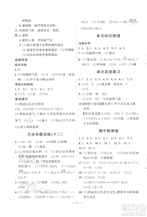 陕西人民出版社2022实验教材新学案九年级下册化学人教版参考答案 陕西人民出版社2022实验教材新学案九年级下册化学人教版参考答案