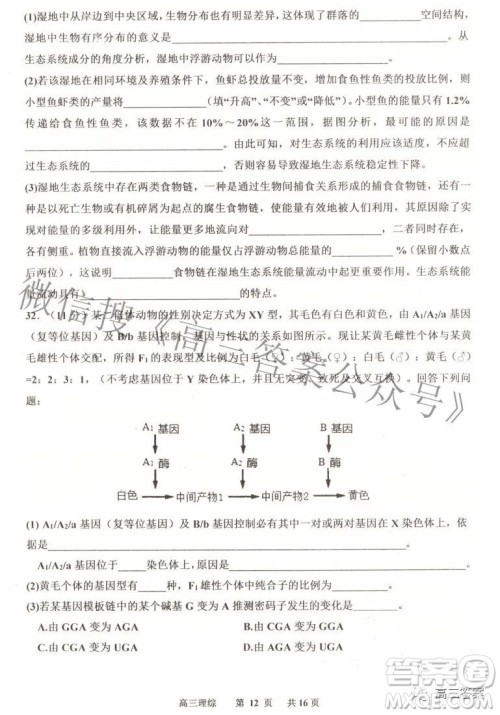 景德镇市2022届高三第三次质量检测理科综合试题及答案 景德镇市2022届高三第三次质量检测理科综合试题及答案