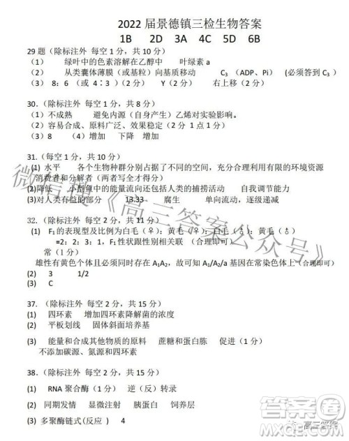 景德镇市2022届高三第三次质量检测理科综合试题及答案 景德镇市2022届高三第三次质量检测理科综合试题及答案