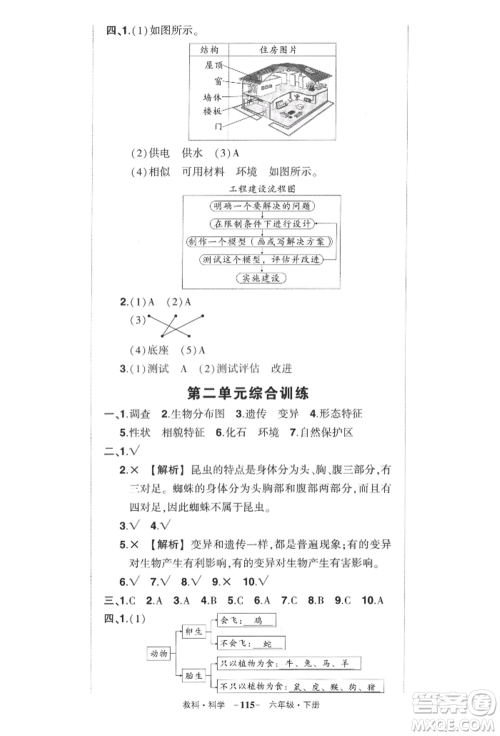 武汉出版社2022状元成才路创优作业100分六年级下册科学教科版参考答案