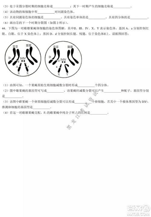 哈三中2021-2022学年度下学期高一学年第一次验收考试生物选考试卷及答案