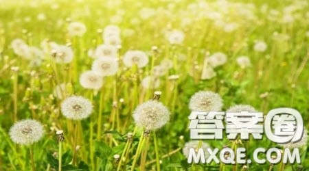 谢谢你的礼物为题作文600字 以谢谢你的礼物为题的作文600字 谢谢你的礼物为题作文600字 以谢谢你的礼物为题的作文600字