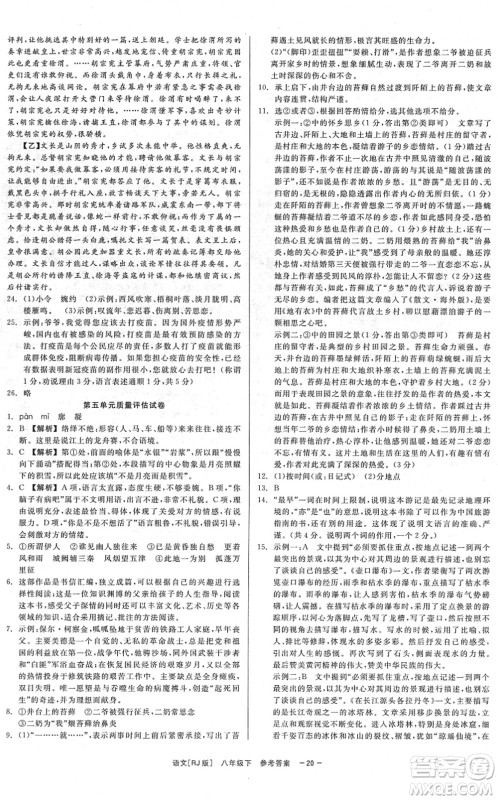 浙江工商大学出版社2022精彩练习就练这一本八年级语文下册R人教版答案