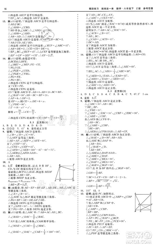 浙江工商大学出版社2022精彩练习就练这一本八年级数学下册Z浙教版答案