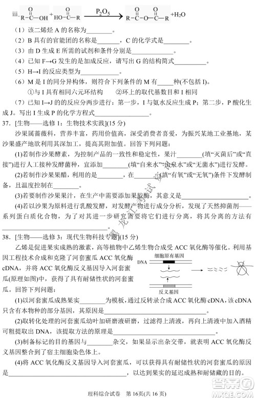 2022银川一中第二次模拟考试理科综合能力测试试卷及答案