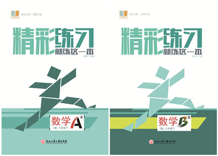 浙江工商大学出版社2022精彩练习就练这一本八年级数学下册Z浙教版答案