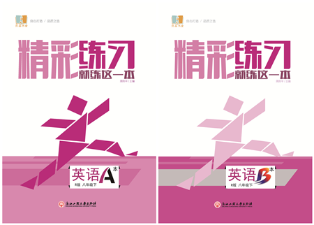 浙江工商大学出版社2022精彩练习就练这一本八年级英语下册R人教版答案