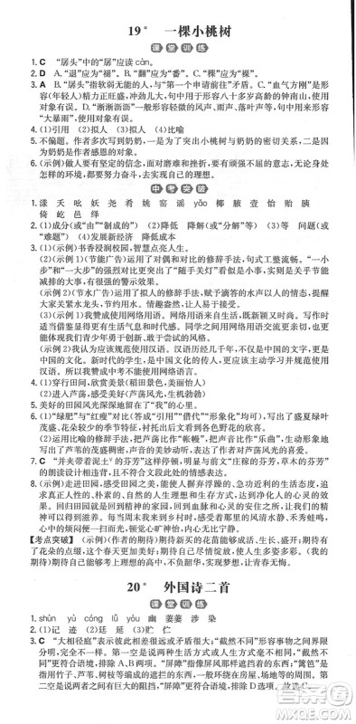 湖南教育出版社2022一本同步训练七年级语文下册RJ人教版重庆专版答案