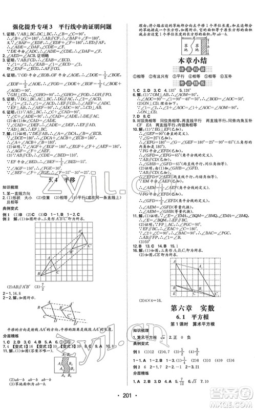 湖南教育出版社2022一本同步训练七年级数学下册RJ人教版重庆专版答案