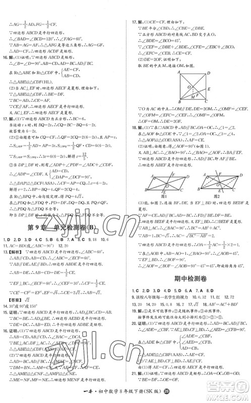 湖南教育出版社2022一本同步训练八年级数学下册SK苏科版答案