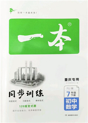 湖南教育出版社2022一本同步训练七年级数学下册RJ人教版重庆专版答案 湖南教育出版社2022一本同步训练七年级数学下册RJ人教版重庆专版答案
