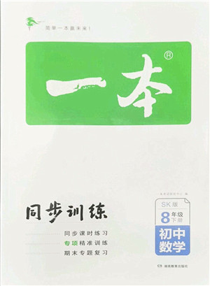 湖南教育出版社2022一本同步训练八年级数学下册SK苏科版答案