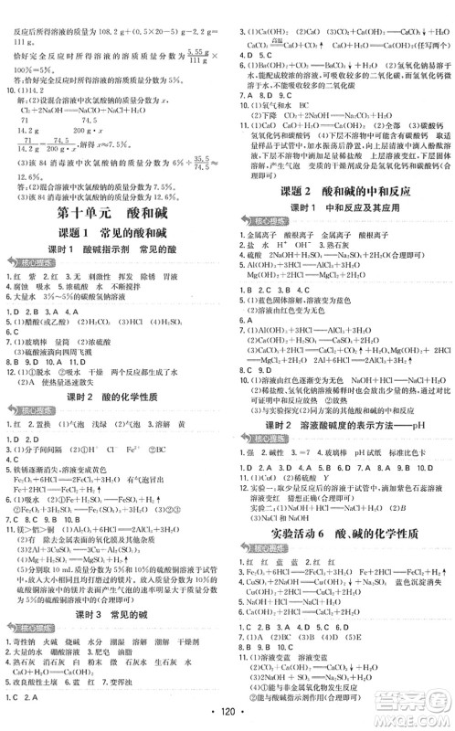 湖南教育出版社2022一本同步训练九年级化学下册RJ人教版答案