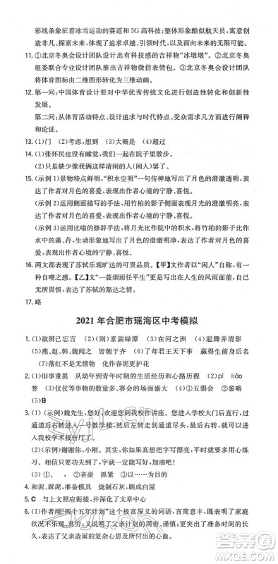 湖南教育出版社2022一本同步训练九年级语文下册RJ人教版安徽专版答案