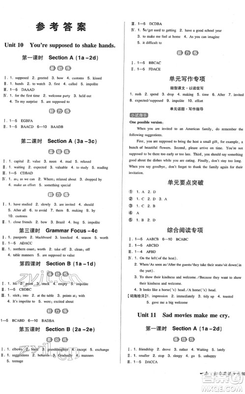 湖南教育出版社2022一本同步训练九年级英语下册RJ人教版答案