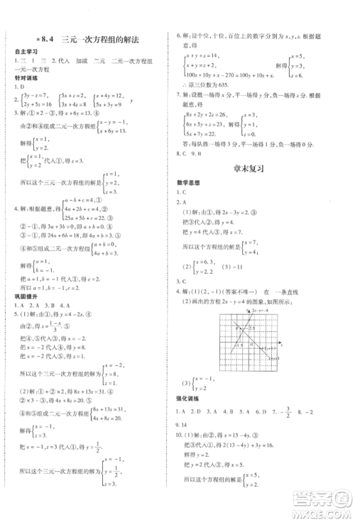 延边大学出版社2022本土攻略七年级下册数学人教版参考答案