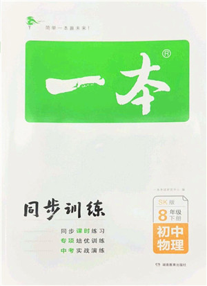 湖南教育出版社2022一本同步训练八年级物理下册SK苏科版答案