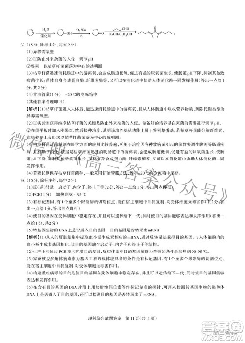 2022年山西省级名校联考二冲刺卷理科综合试题及答案