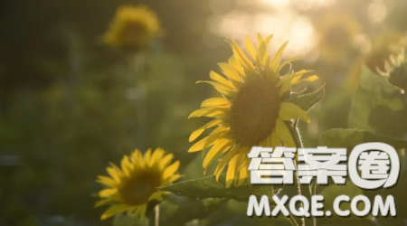 紧握手中的接力棒为题作文600字 关于紧握手中的接力棒为题的作文600字 紧握手中的接力棒为题作文600字 关于紧握手中的接力棒为题的作文600字