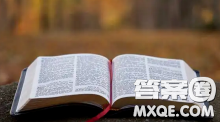 种下一粒___的种子作文800字 以种下一粒___的种子为题的作文800字 种下一粒___的种子作文800字 以种下一粒___的种子为题的作文800字