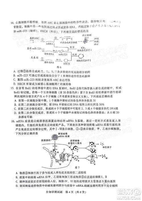 韶关市2022届高三综合测试二生物学试题及答案