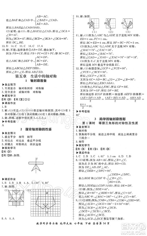 郑州大学出版社2022新学案同步导与练七年级数学下册北师大版答案