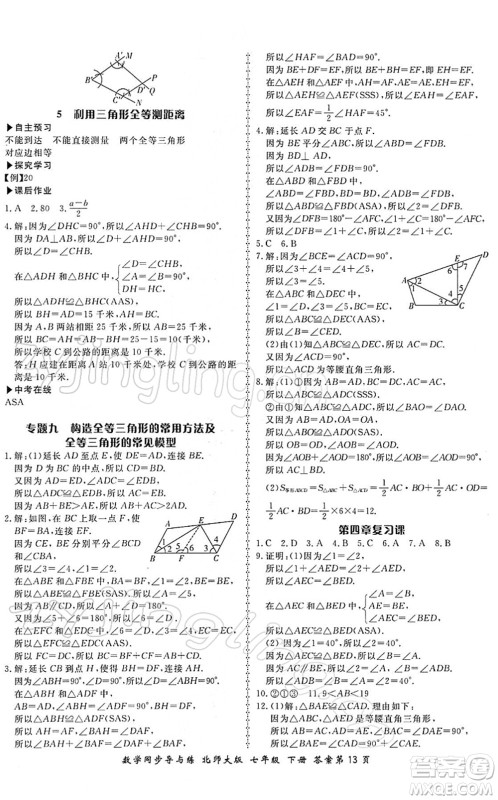 郑州大学出版社2022新学案同步导与练七年级数学下册北师大版答案