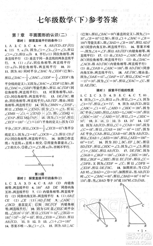 安徽人民出版社2022高效精练七年级数学下册苏科版答案