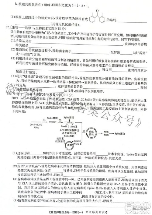 九师联盟2021-2022学年高三押题信息卷一理科综合试题及答案
