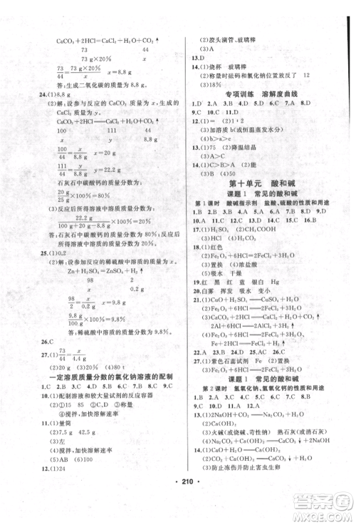 延边人民出版社2022试题优化课堂同步九年级下册化学人教版参考答案