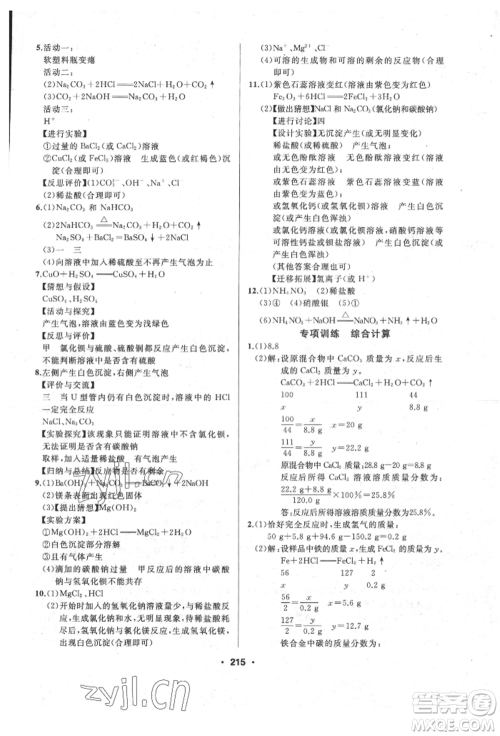 延边人民出版社2022试题优化课堂同步九年级下册化学人教版参考答案