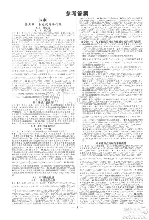 天津科学技术出版社2022智慧学堂核心素养提升法A本七年级下册数学人教版台州专版参考答案