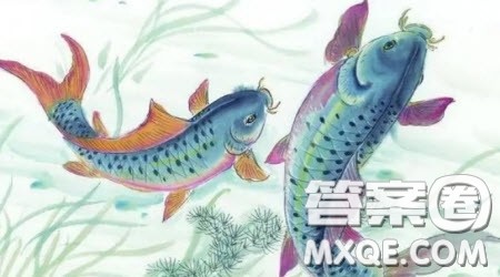 你我的生态文明材料作文800字 关于你我的生态文明的材料作文800字